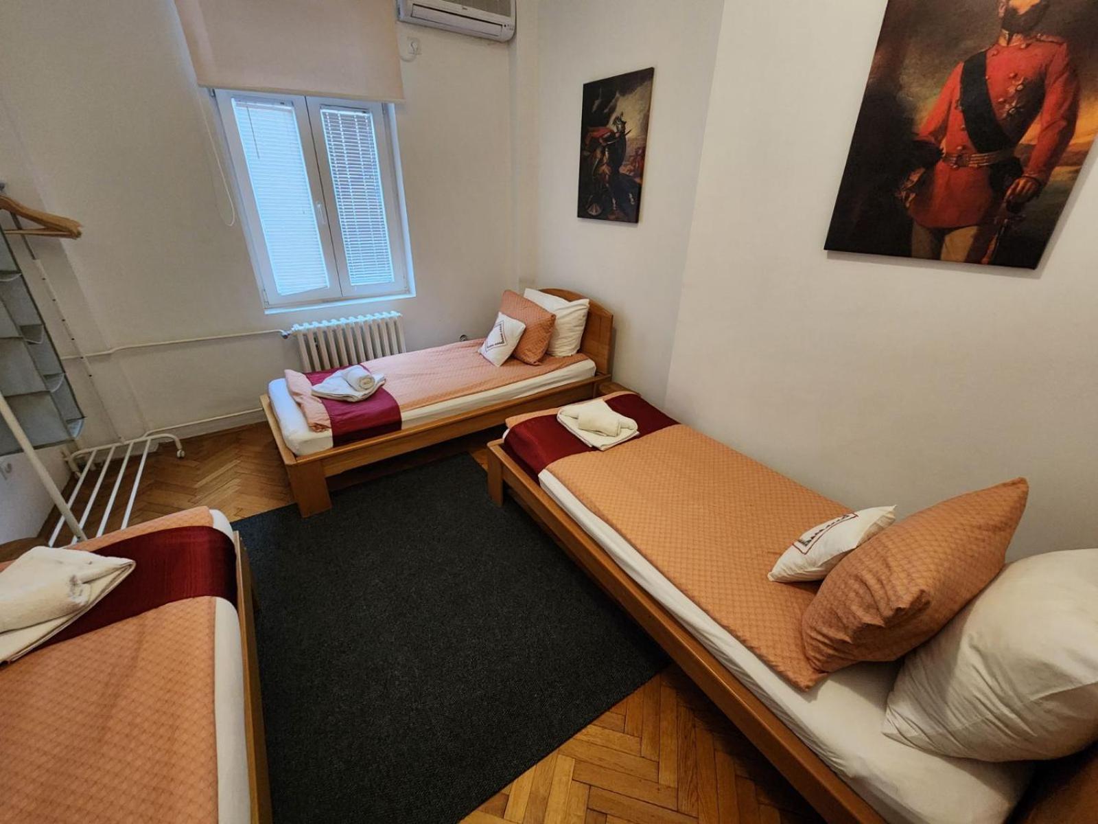 Authentic Belgrade Centre Apartment #4 - Budget エクステリア 写真
